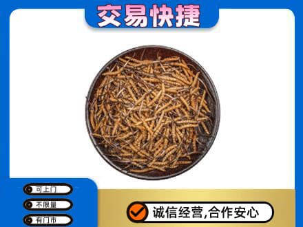 梧州市礼品回收虫草.jpg